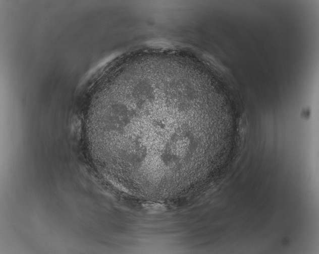 X0000116481302200912231122