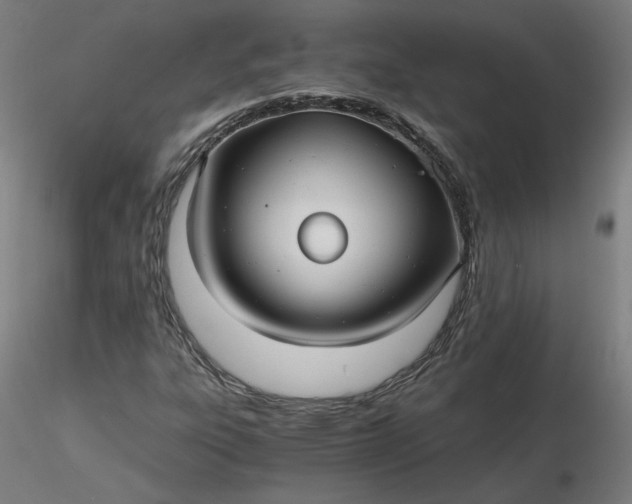 X0000116481303200912231122