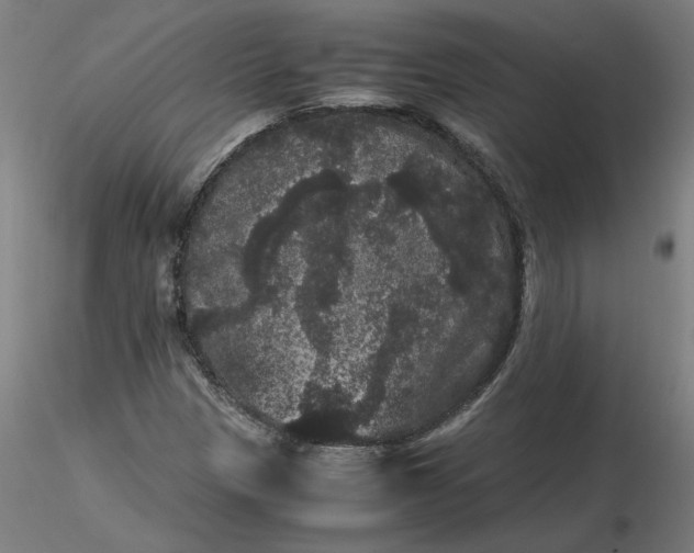 X0000116481305200912231122