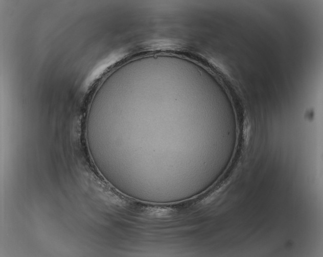 X0000116481309200912231122