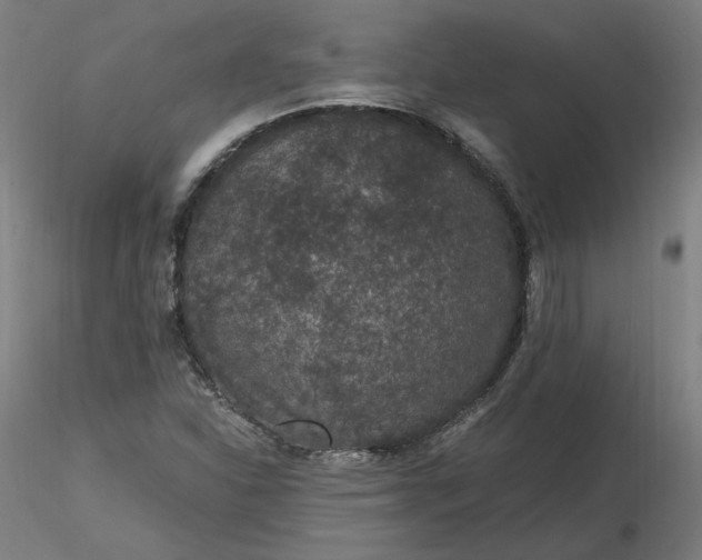 X0000116481310200912231122