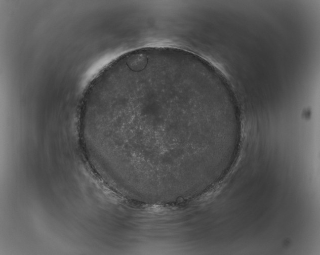 X0000116481311200912231122