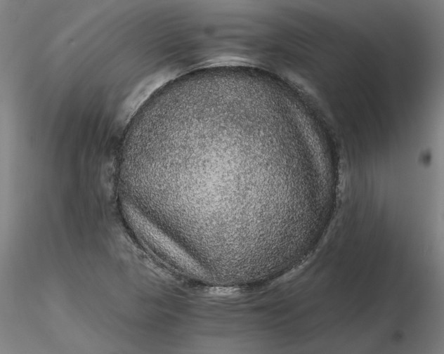 X0000116481313200912231122