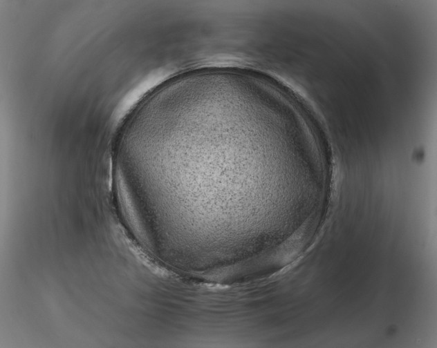 X0000116481317200912231122