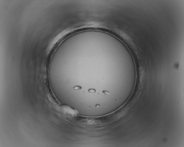 X0000116481318200912231122