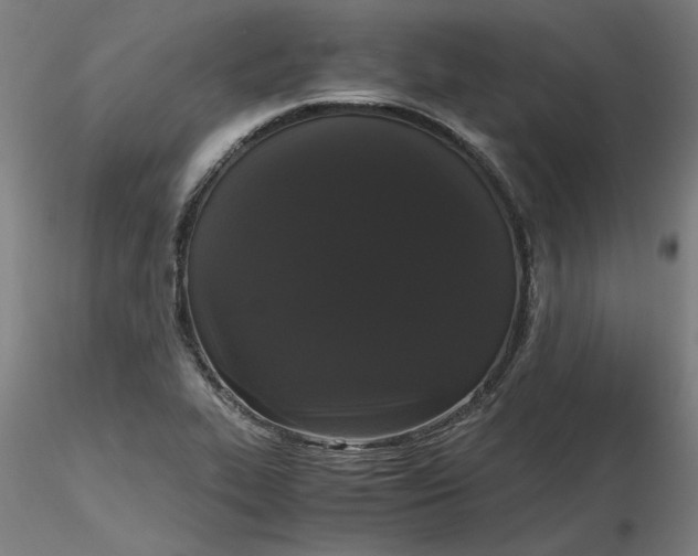 X0000116481319200912231122