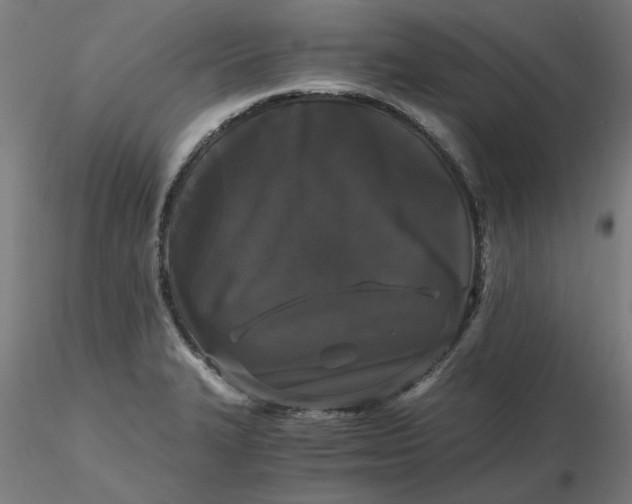 X0000116481327200912231122