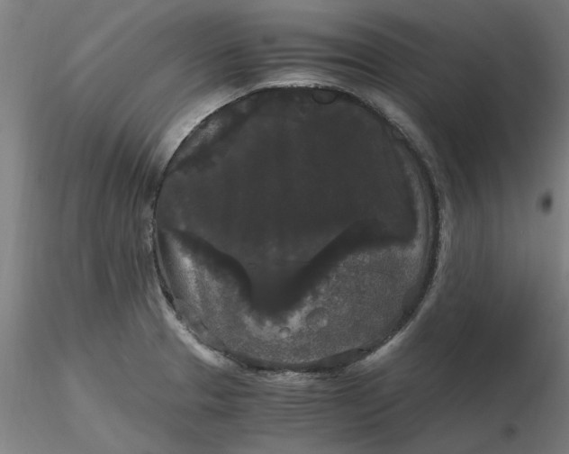 X0000116481329200912231122