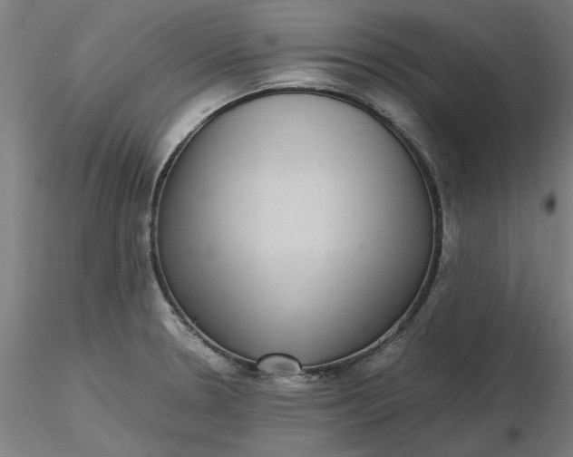 X0000116481330200912231122