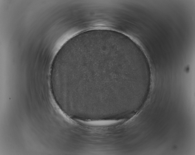 X0000116481333200912231122