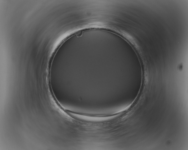 X0000116481334200912231122