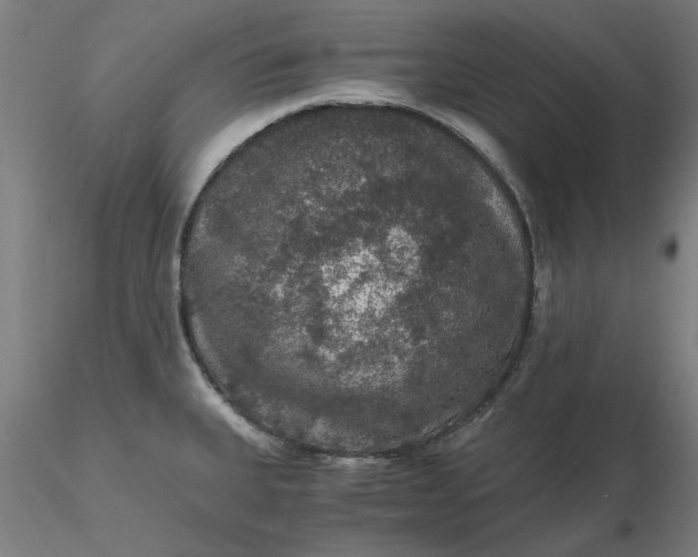 X0000116481335200912231122