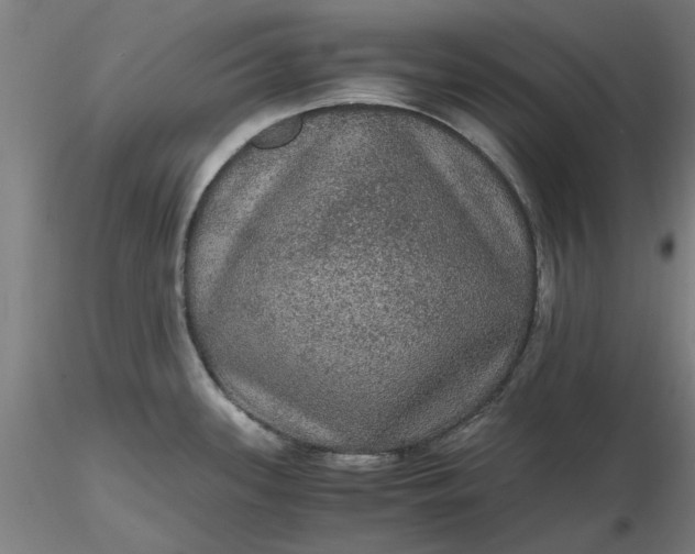 X0000116481339200912231122