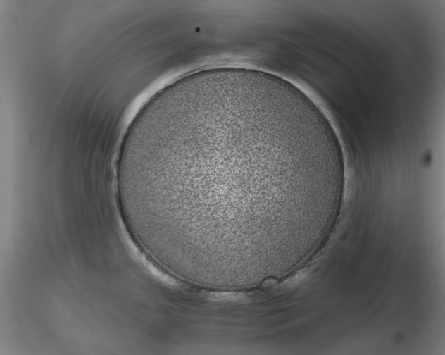 X0000116481341200912231122