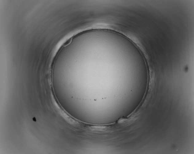 X0000116481342200912231122