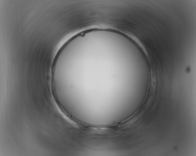 X0000116481343200912231122