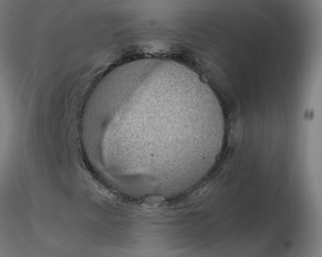 X0000116481345200912231122