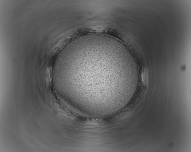 X0000116481347200912231122