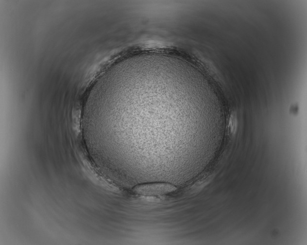 X0000116481348200912231122