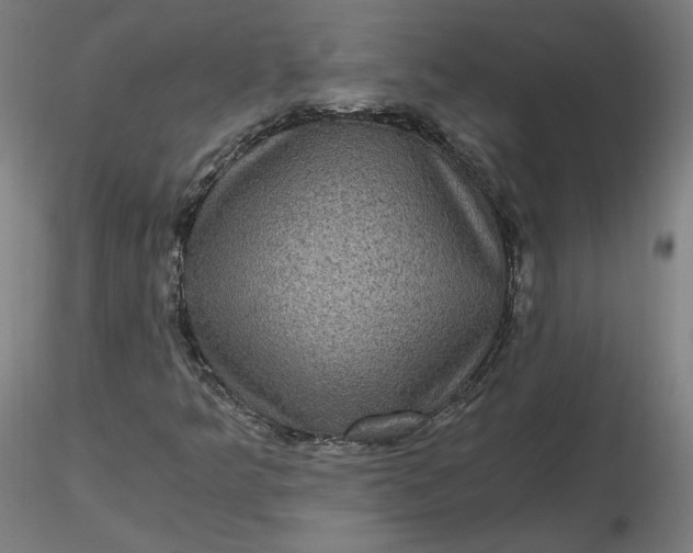 X0000116481349200912231122