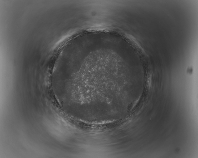 X0000116481350200912231122