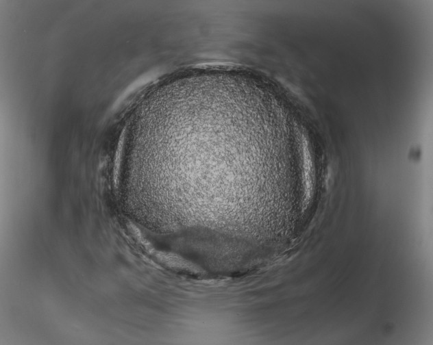 X0000116481351200912231122