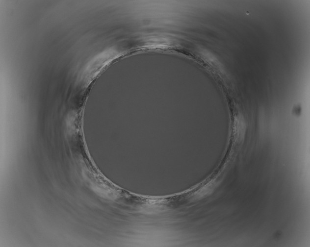 X0000116481353200912231122