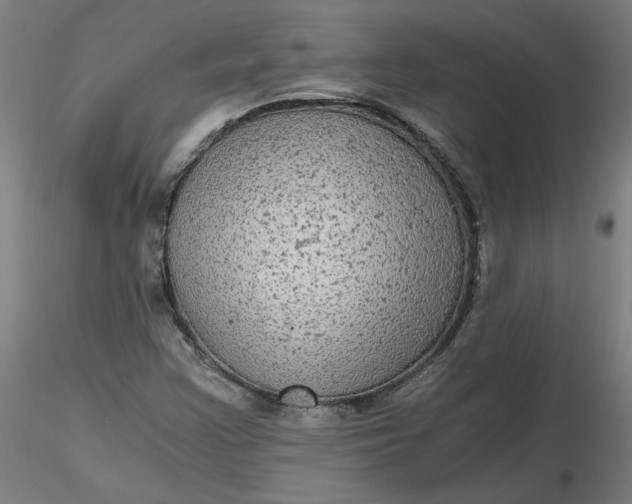 X0000116481355200912231122