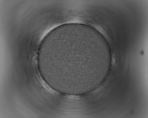 X0000116481356200912231122