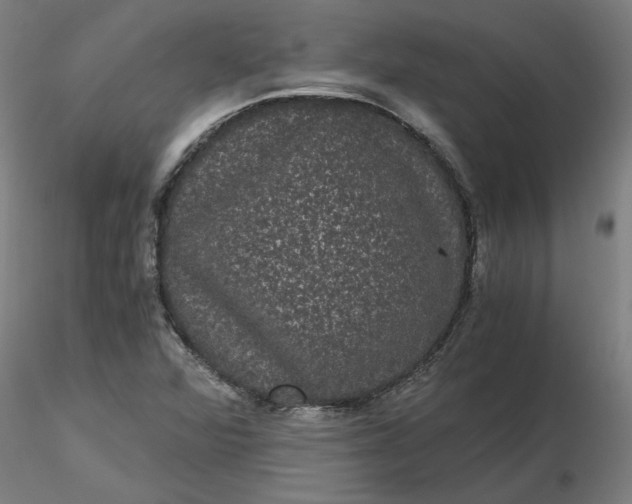 X0000116481360200912231122