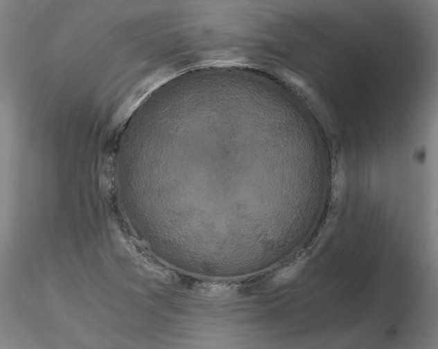 X0000116481361200912231122