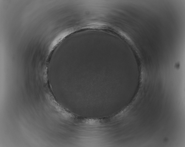 X0000116481362200912231122