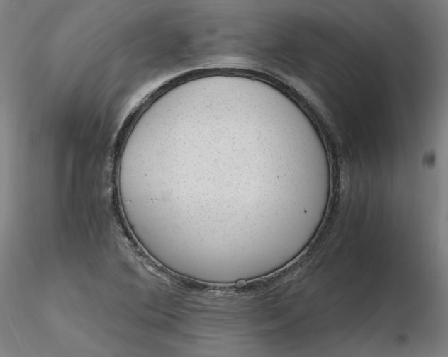 X0000116481364200912231122