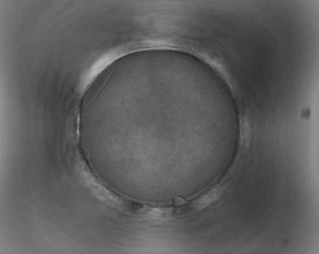 X0000116481365200912231122