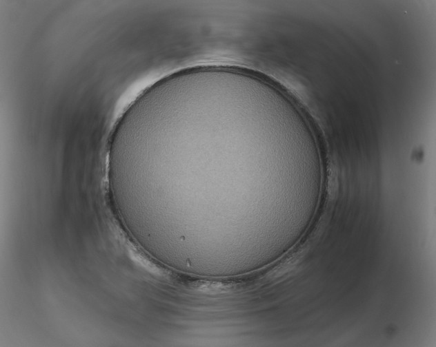 X0000116481366200912231122