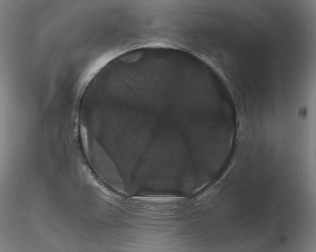 X0000116481367200912231122