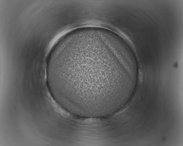 X0000116481368200912231122