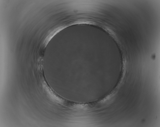 X0000116481369200912231122