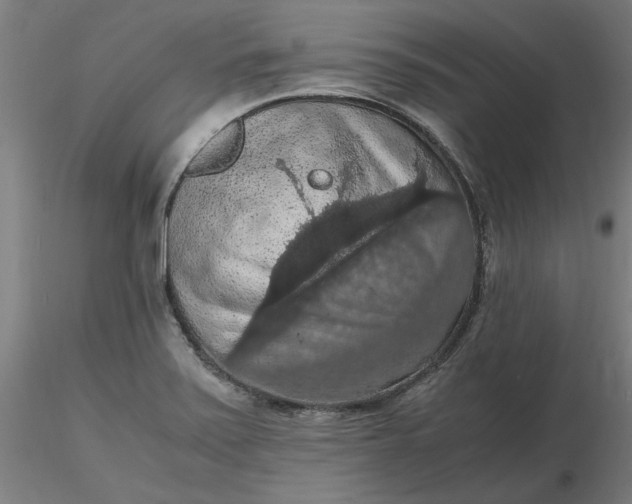 X0000116481371200912231121