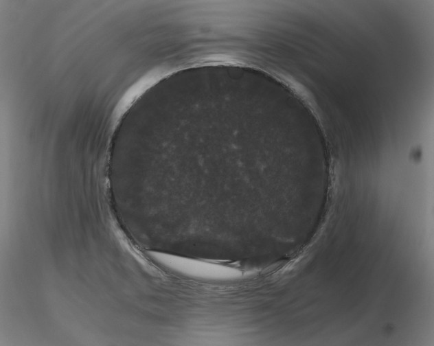 X0000116481373200912231121