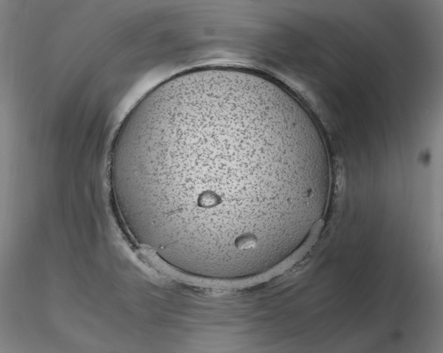 X0000116481375200912231121