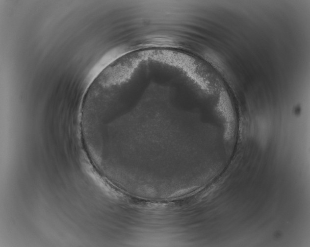 X0000116481378200912231121