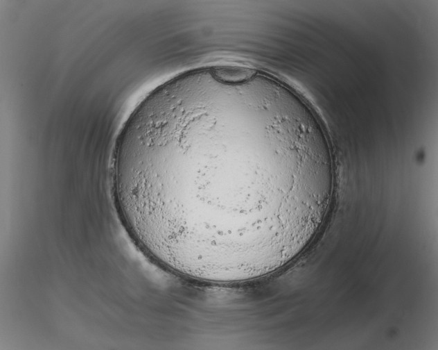 X0000116481379200912231121