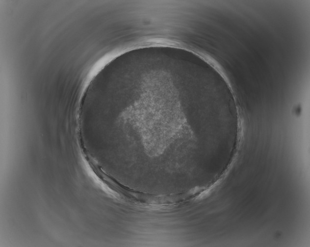 X0000116481381200912231121