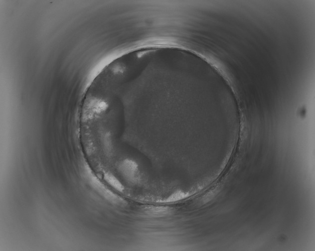 X0000116481382200912231121