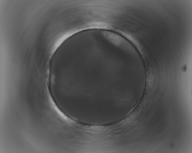 X0000116481383200912231121