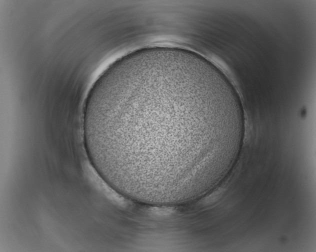 X0000116481384200912231121