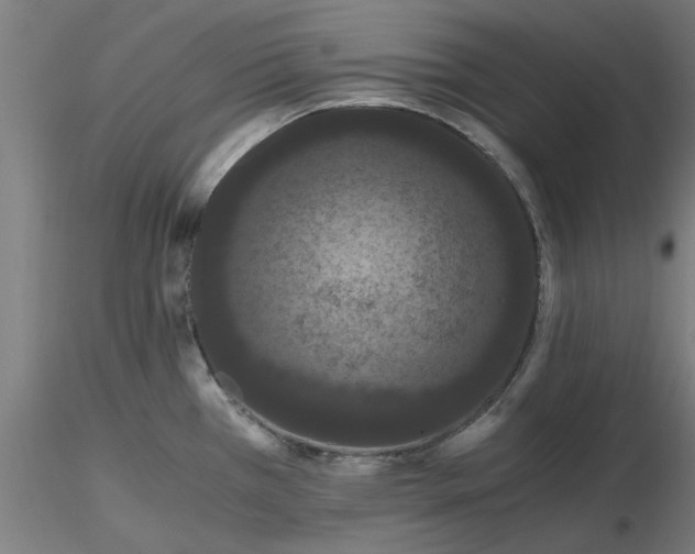 X0000116481385200912231121