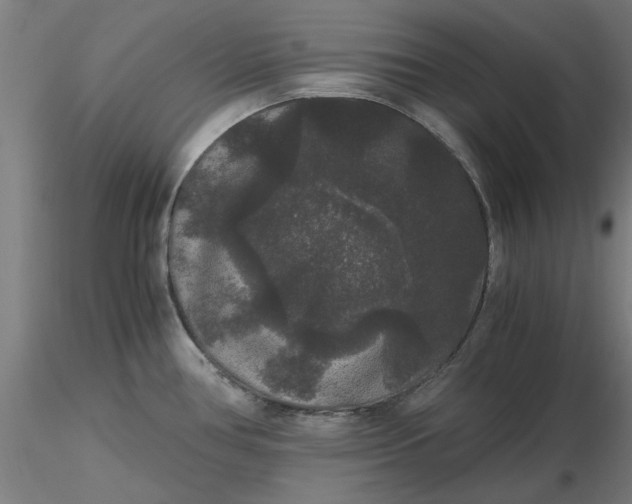 X0000116481386200912231121