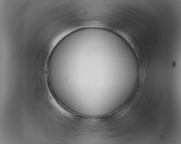 X0000116481387200912231121